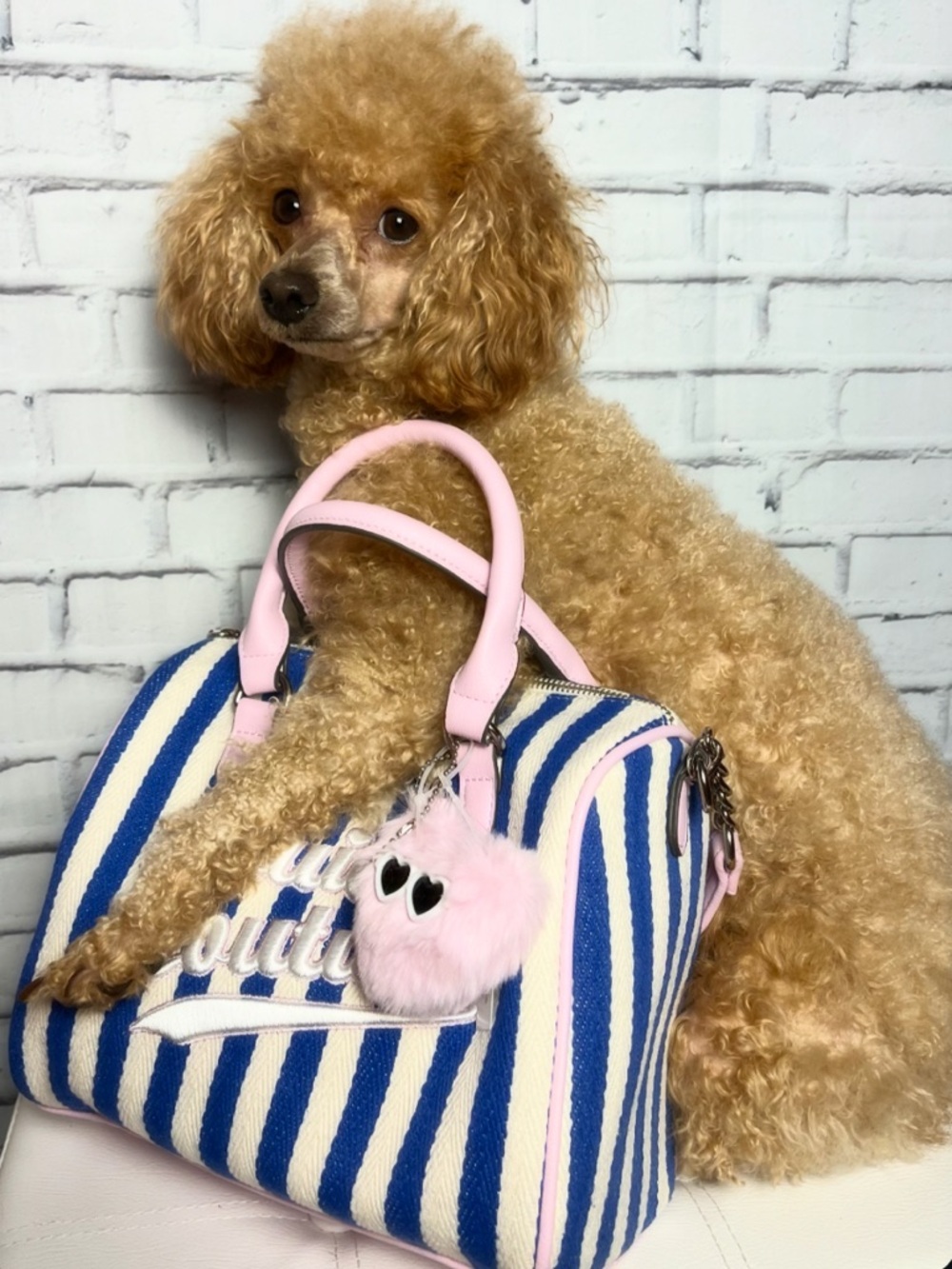 RARE Juicy Couture Lilac, Navy & White Dome Bag w/ Crossbody (modeled by Bambi)